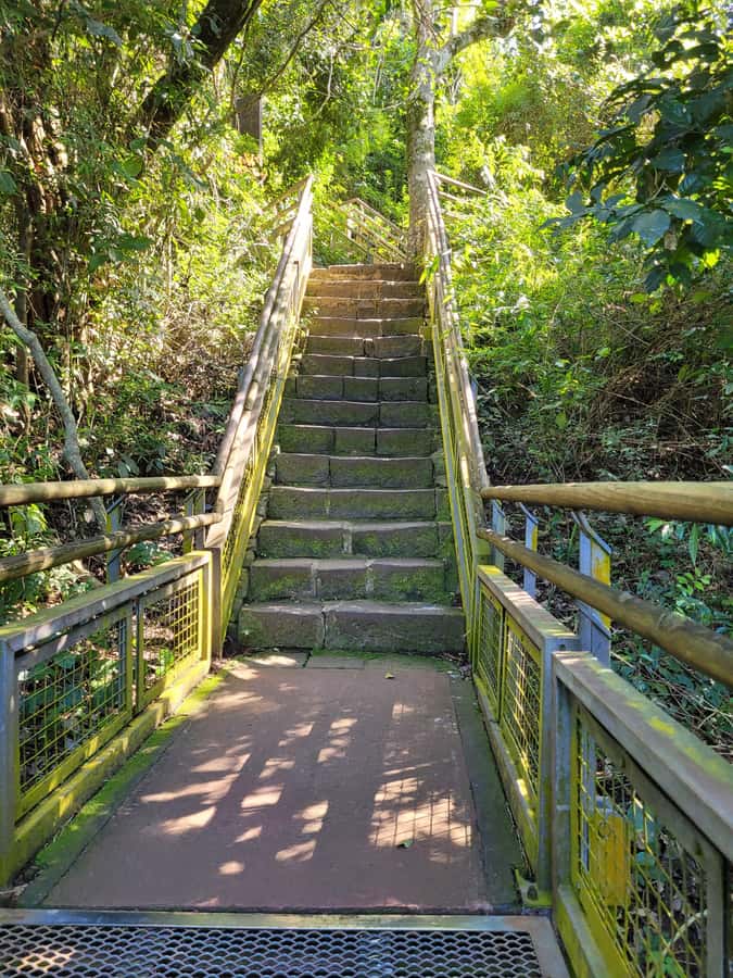 Iguazu Falls: Guided Tour in Argentinean Side - Lower Trail (2.5 km): the closer walk where mist meets your face