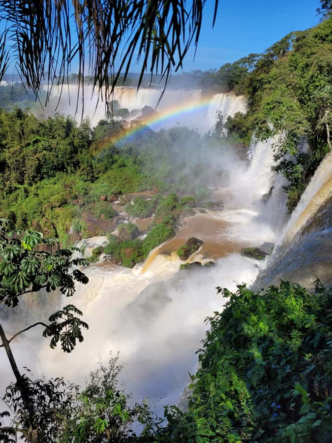 Iguazu Falls: Guided Tour in Argentinean Side - How the guide turns sights into understanding