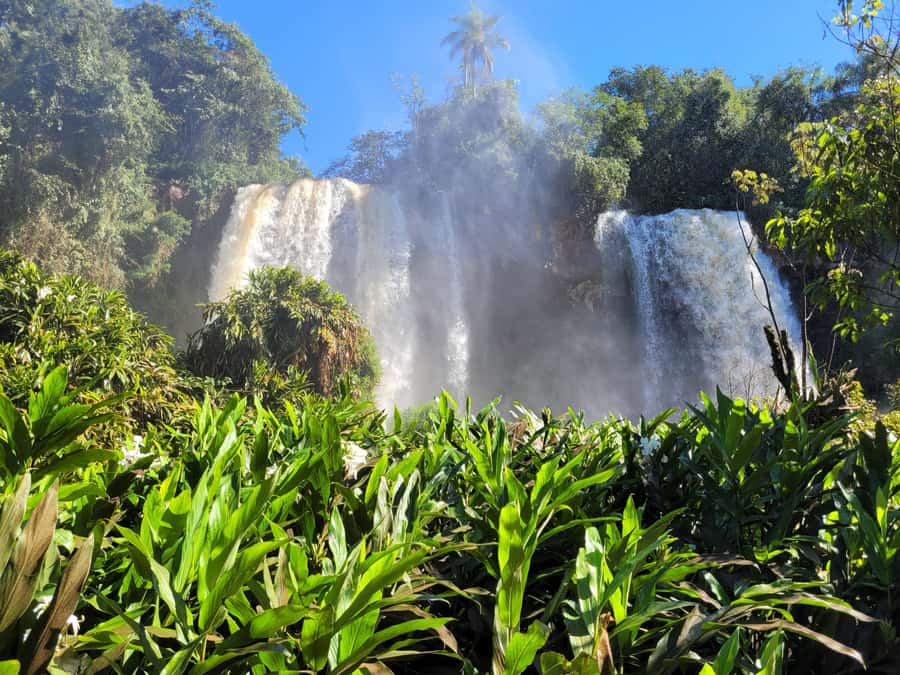 Iguazu Falls: Guided Tour in Argentinean Side - Price and value: what you pay for, and what you still need to budget