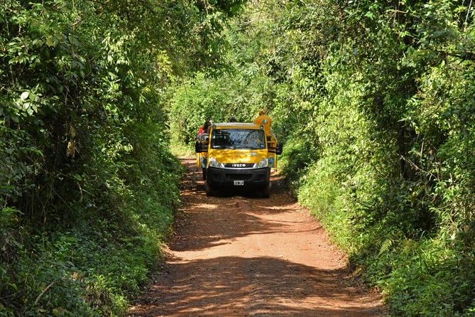 Iguazu Falls Tour, Boat Ride, Train and Safari Truck - Walking circuits: Lower Circuit for jungle closeness, Upper Circuit for big views
