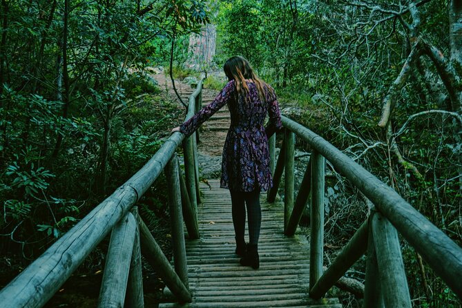 Immersive Iguazú Falls In One Day: Guided Walk, Train Ride & Boat - Devil’s Throat, the walk that earns the whole day