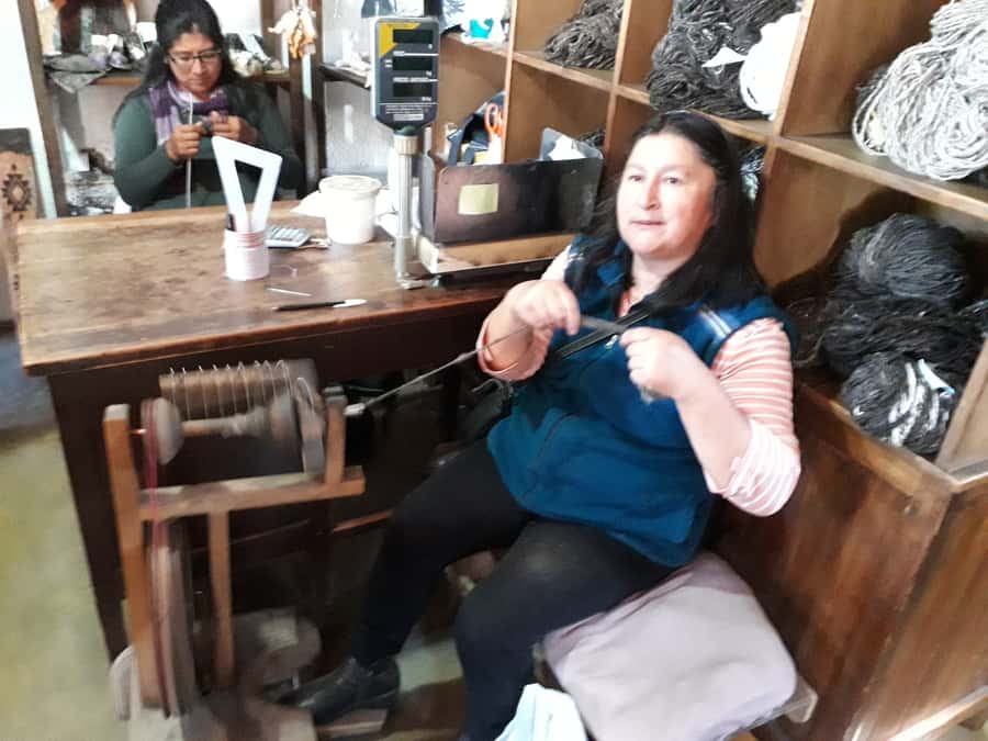 Indigenous People of Patagonia History Tour - Using your entry ticket later to see fossils, tools, and implements