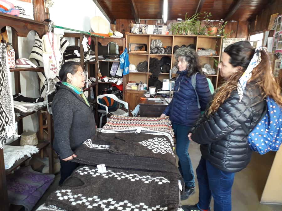Indigenous People of Patagonia History Tour - Price and value: why $41 for 90 minutes can work well