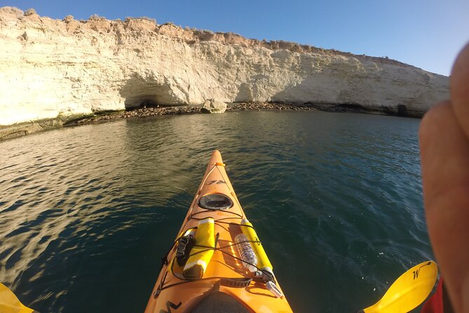 Kayak Paddling Experience with Sea Lions in Puerto Madryn - Price and Value: What $140 Covers, and What You Still Need to Pay