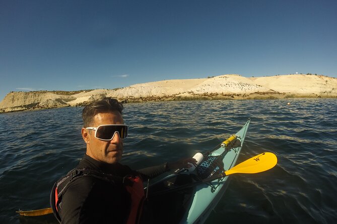 Kayak Paddling Experience with Sea Lions in Puerto Madryn - Who Should Book This Sea Lion Kayak Tour (And Who Should Rethink)