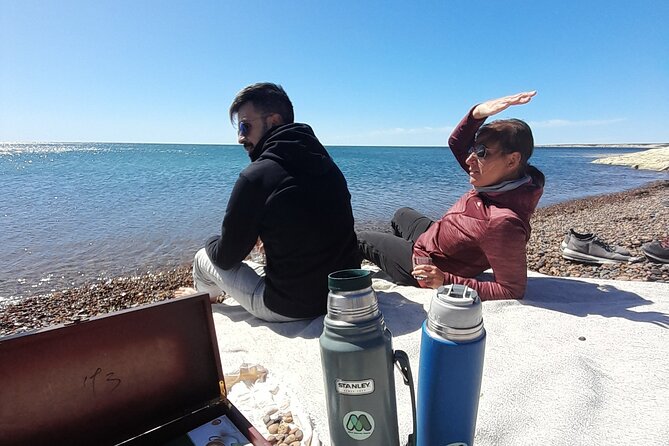 Kayak Paddling Experience with Sea Lions in Puerto Madryn - FAQ