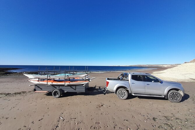 Kayak Paddling Experience with Sea Lions in Puerto Madryn - Reservа Loberia de Punta Loma: Seeing Sea Lions Up Close From the Water