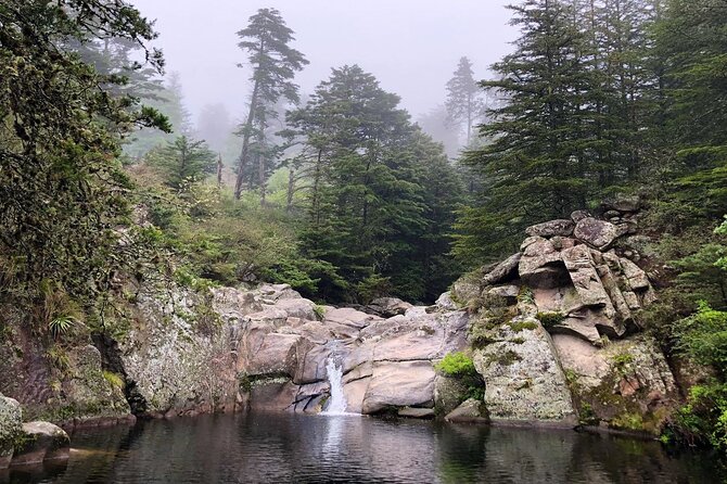 La Cumbrecita and Villa General Belgrano Full Day Tour - Sierras Grandes, Where the Drive Gets Worthwhile