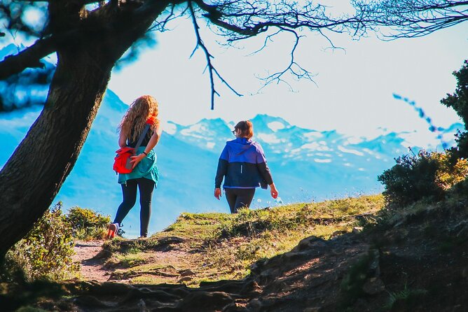Laguna Esmeralda Hiking Tour with Snack from Ushuaia - Wildlife odds, and how your guide helps you actually see it