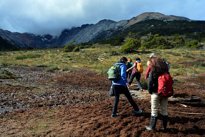 Laguna Esmeralda Trekking Adventure with Lunch - Pace, group size, and what guides do besides point at views