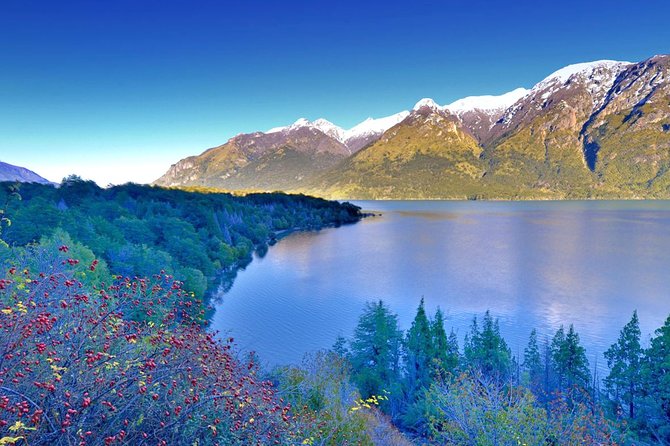 Los Alerces National Park, Esquel - Full day - A Nine-Hour Route That Lets You See Los Alerces in One Day