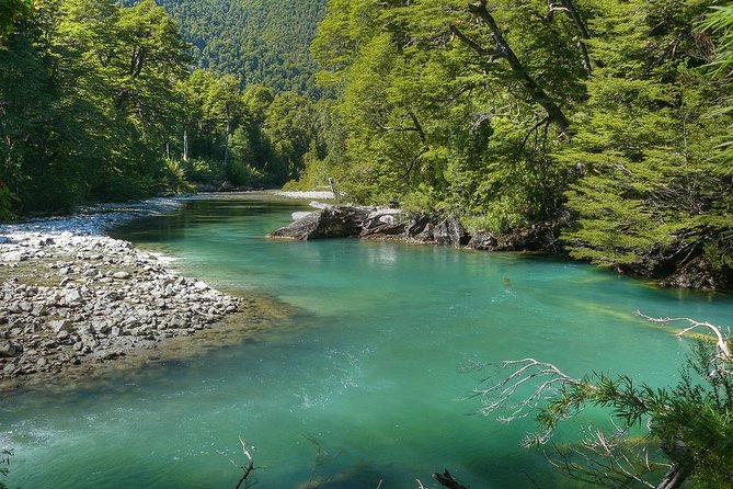 Los Alerces National Park, Esquel - Full day - Starting in Esquel or Trevelin: How the Day Sets Its Tone
