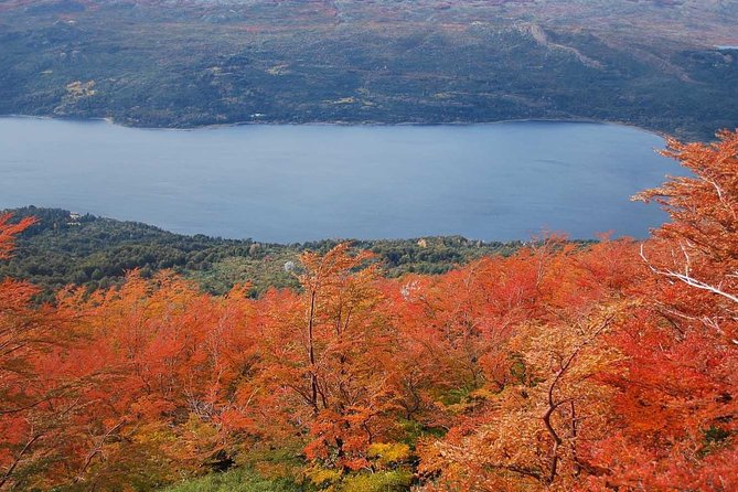 Los Alerces National Park, Esquel - Full day - Puerto Limonao and the National Park Intendance Stop