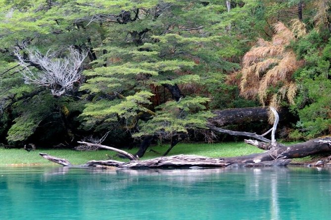 Los Alerces National Park, Esquel - Full day - The Arrayanes River Area Walk: Green Lake, Menendez River, Solitary Lahuan, Puerto Chucao, and More