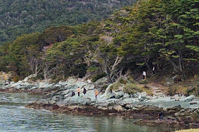 Low cost Ushuaia National Park Private tour - End of the World Post Office and the Beagle Channel Walk Moment