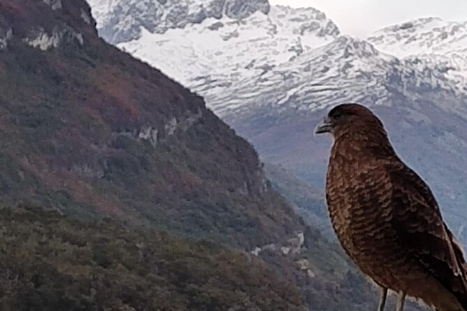 Low cost Ushuaia National Park Private tour - Alakush Visitor Center: Restrooms, Visual Interpretation, and Panoramic Photo Point