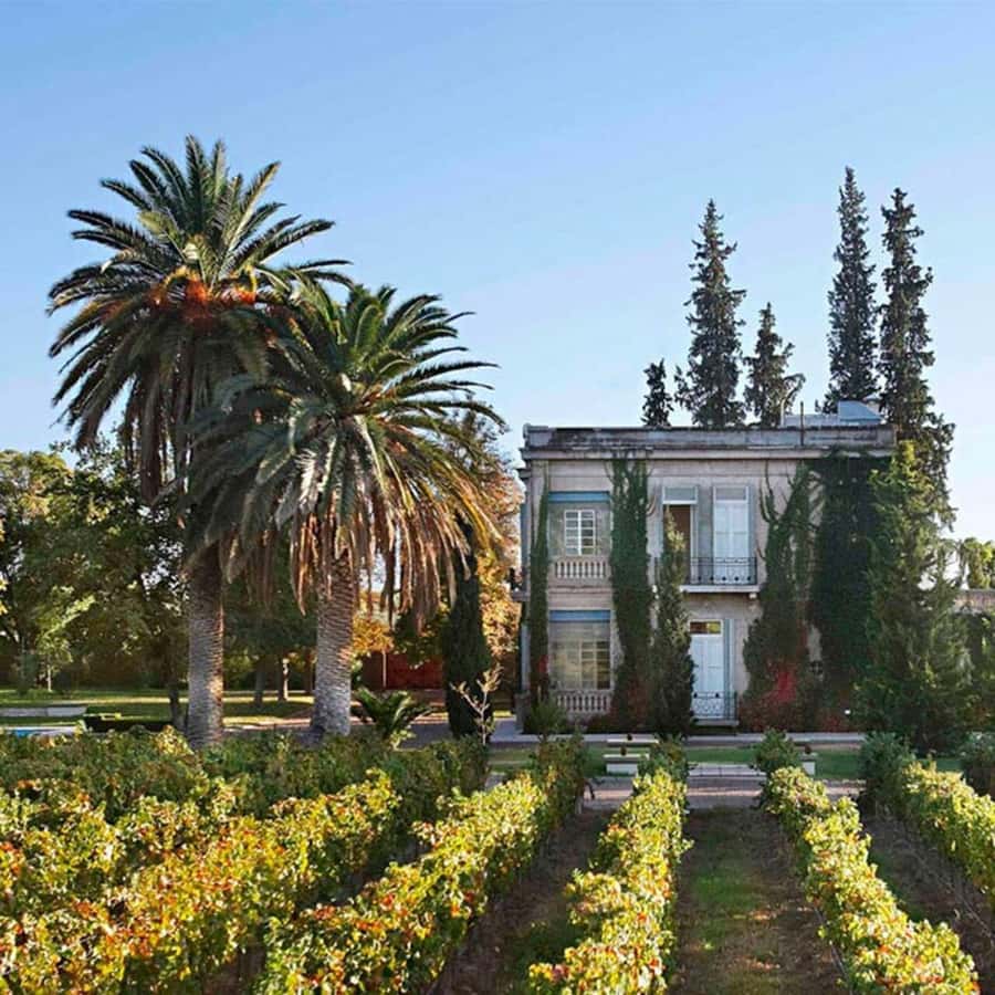 Luigi Bosca Winery Tour with Wine Tasting and Lunch - Luigi Bosca in Maipú: where the day feels calmer