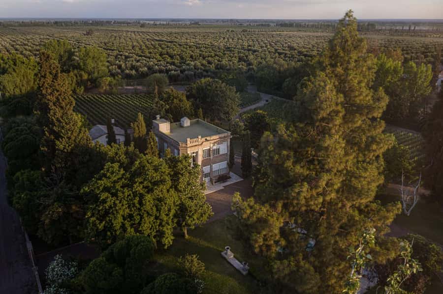 Luigi Bosca Winery Tour with Wine Tasting and Lunch - Walking the vineyards with the Arizu family story