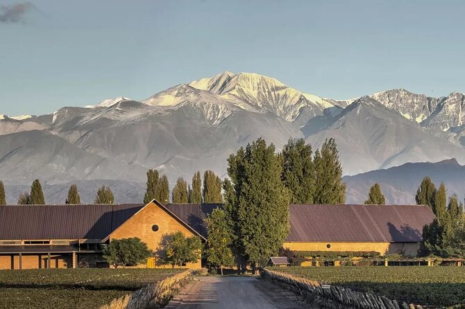 Luján de Cuyo Gourmet Wine Tour - Entering Mendoza’s Malbec country at Luján de Cuyo