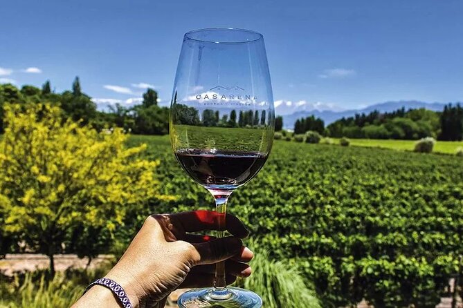 Luján de Cuyo Gourmet Wine Tour - The guides and the private format, what you actually feel