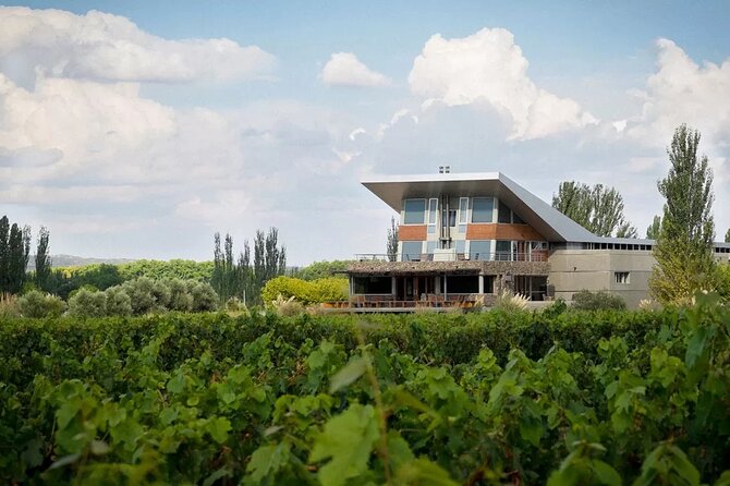 Luján de Cuyo Gourmet Wine Tour - Bodega Caelum: pistachios, wine, and a very Mendoza twist