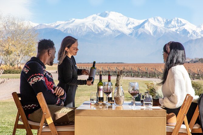 Lujan Deluxe - Full day - Premium Wine Tour with Gourmet Lunch - Key things to know before you go