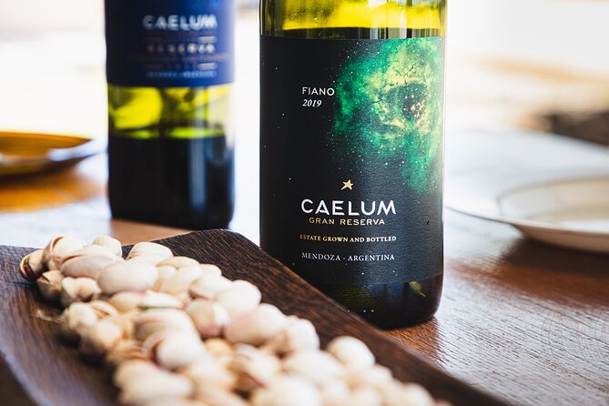 Lujan Deluxe - Full day - Premium Wine Tour with Gourmet Lunch - A Luján wine day built around small, real places