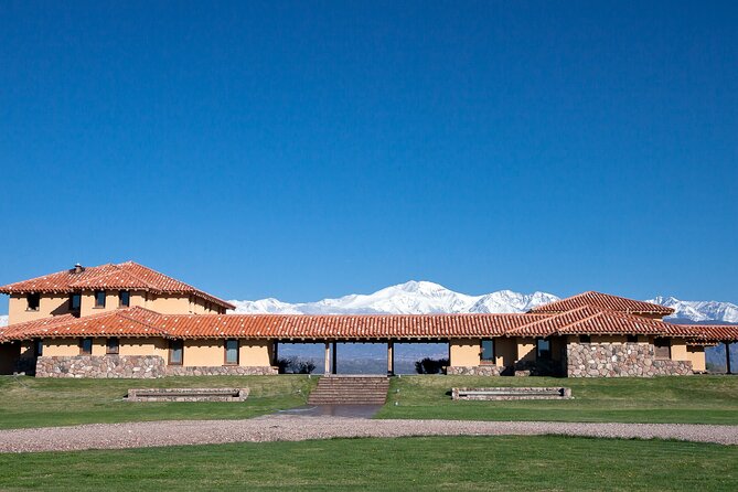 Lujan Deluxe - Full day - Premium Wine Tour with Gourmet Lunch - Stop 3, Finca Minimal: 6 courses in an organic Malbec vineyard from 1905
