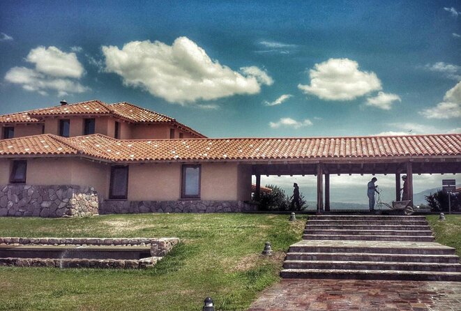 Lujan Deluxe - Full day - Premium Wine Tour with Gourmet Lunch - The tasting experience: more than just reds