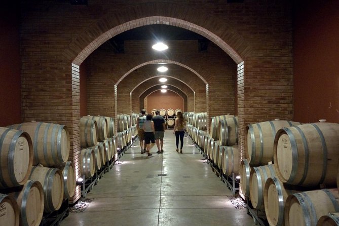Lujan & Maipu - Private - The Best WineTour & Lunch - Key highlights you will feel right away