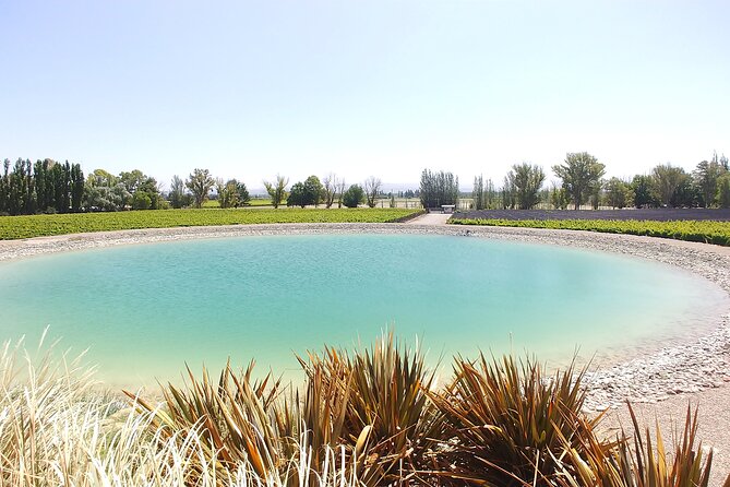 Lujan & Maipu - Private - The Best WineTour & Lunch - Drivers and hosts: the difference between a trip and a story