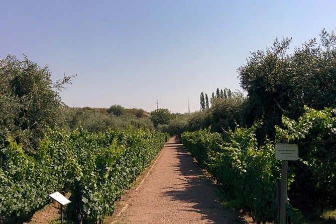 Lujan & Maipu - Private - The Best WineTour & Lunch - Making the most of your private day in Mendoza