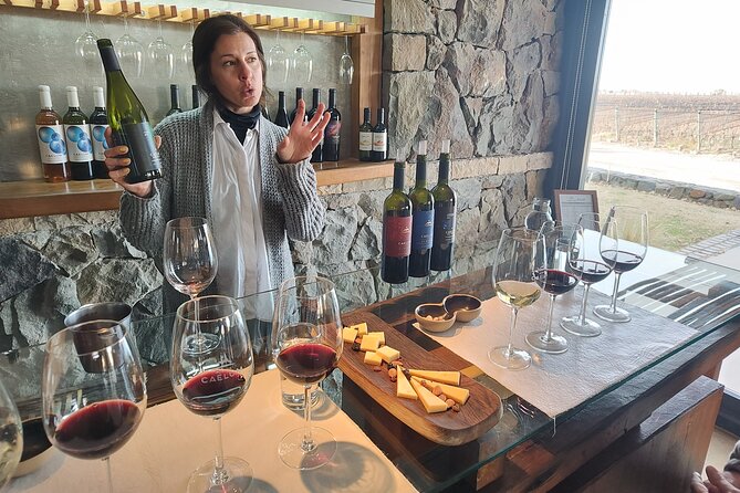 Luján Wine Tasting Guided Experience with Lunch - Key Highlights You’ll Actually Care About