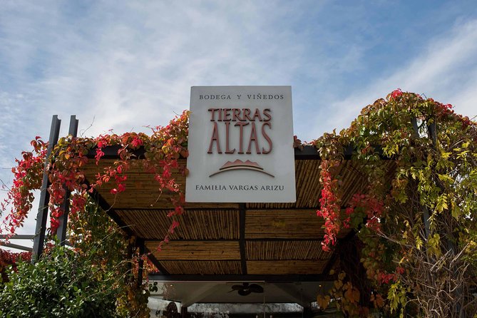 Malbec Experience in Bodega Tierras Altas - A Malbec Tour That Starts in the Vineyards, Not Just the Tasting Room
