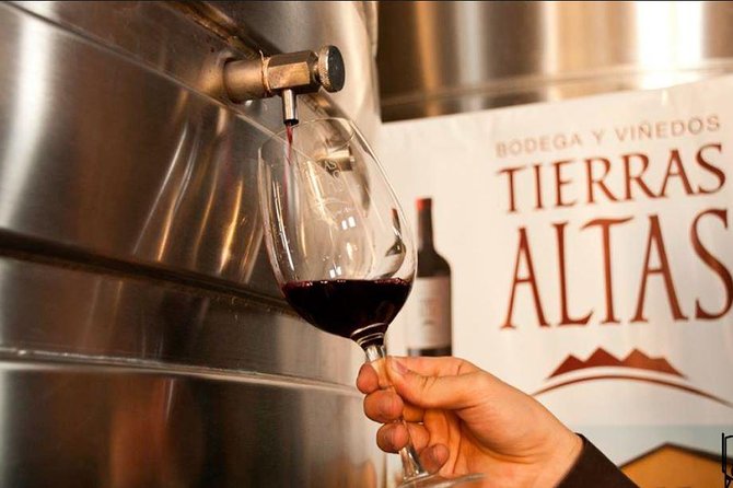 Malbec Experience in Bodega Tierras Altas - Wine tastings that teach you what to notice, not just what to sip