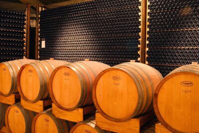 Malbec Experience in Bodega Tierras Altas
