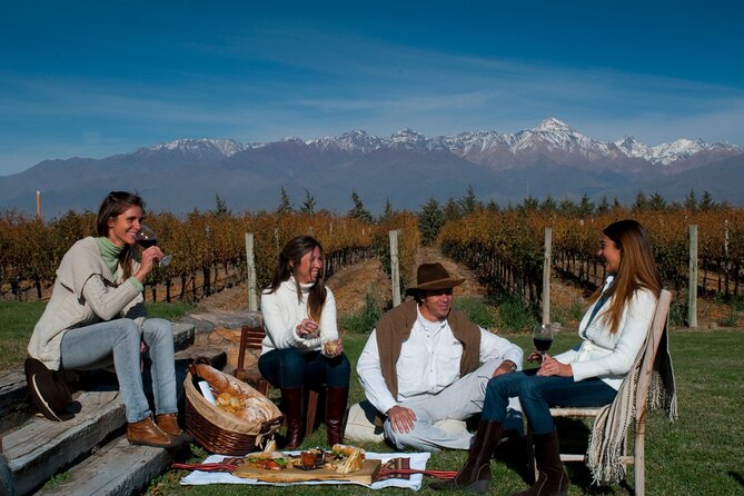 Malbec & Mountain Uco Valley Private Wine Tour with Gourmet Lunch - Key highlights worth planning for