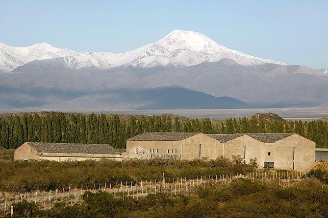 Malbec & Mountain Uco Valley Private Wine Tour with Gourmet Lunch - Michelini i Mufatto Cantina: high-altitude Malbec with a low-intervention angle