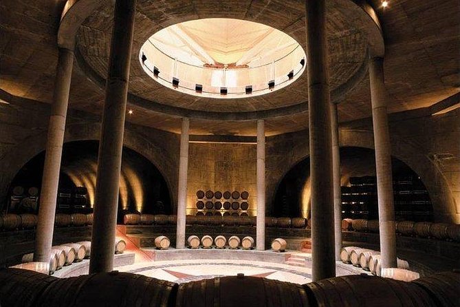 Malbec & Mountain Uco Valley Private Wine Tour with Gourmet Lunch - Private guide energy: what you gain, and how to use it