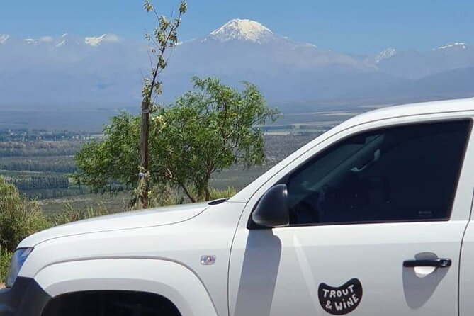 Malbec & Mountain Uco Valley Private Wine Tour with Gourmet Lunch - Potrerillos Dam: the mountain drive that sets the tone