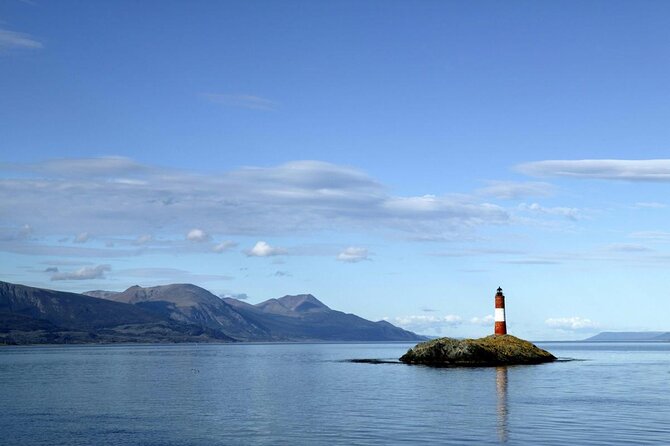 Martillo Island: Boat Trip to the Penguin Colony & Beagle Channel - Getting on board: timing, weather reality, and camera prep