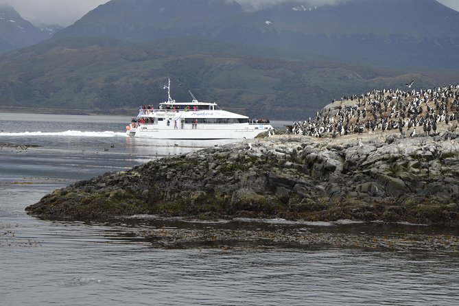 Martillo Island: Boat Trip to the Penguin Colony & Beagle Channel - From Ushuaia out toward the Beagle Channel highlights