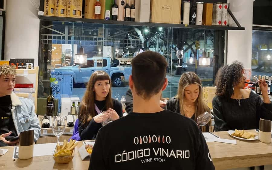 Mendoza: Classic Wine Tasting - Key things to know before you go