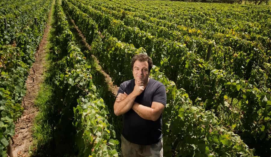 Mendoza: El Enemigo and Casa Vigil Wine Tour - Mendoza El Enemigo Tour Highlights You’ll Actually Feel