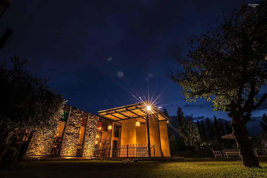 Mendoza: El Enemigo and Casa Vigil Wine Tour - How Casa Vigil (El Enemigo) Makes a Wine Tour More Than a Tasting Room