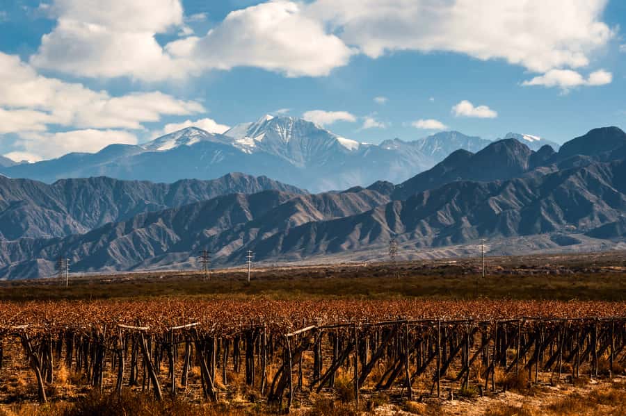 Mendoza: Full Day Wine Tour with 3 Course Lunch - Key highlights to know before you go