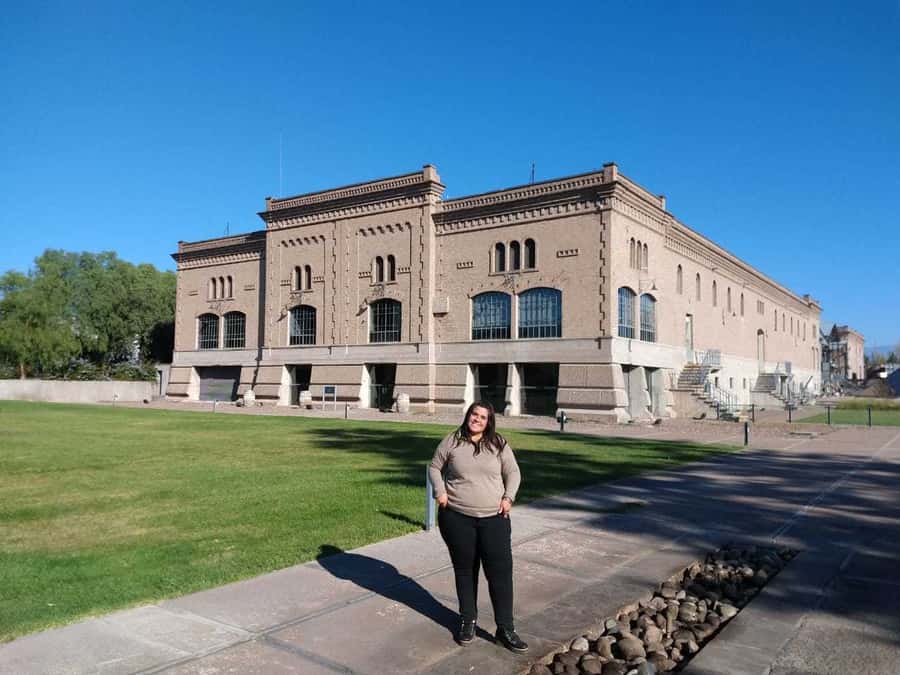Mendoza: Full Day Wine Tour with 3 Course Lunch - The 8-hour plan, how the day actually flows
