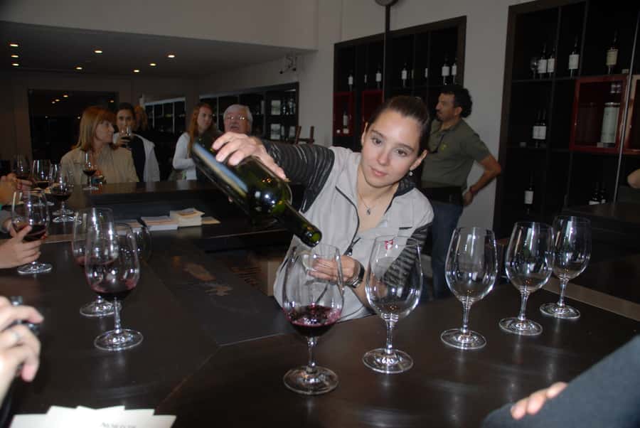 Mendoza: Full Day Wine Tour with 3 Course Lunch - Winery stops: tastings that come with context, not just samples