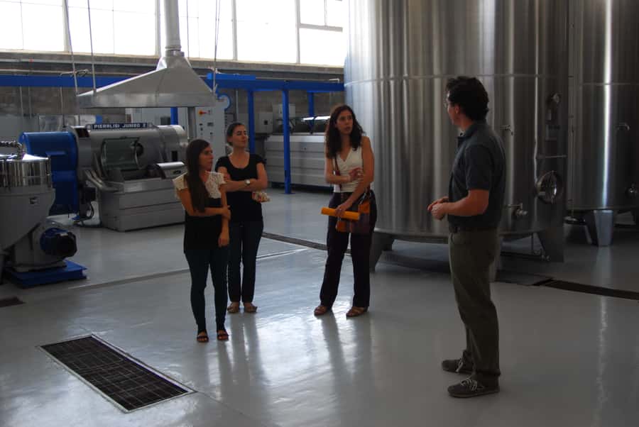 Mendoza: Full Day Wine Tour with 3 Course Lunch - Terroir and Mendoza irrigation, the lesson that makes the wine make sense