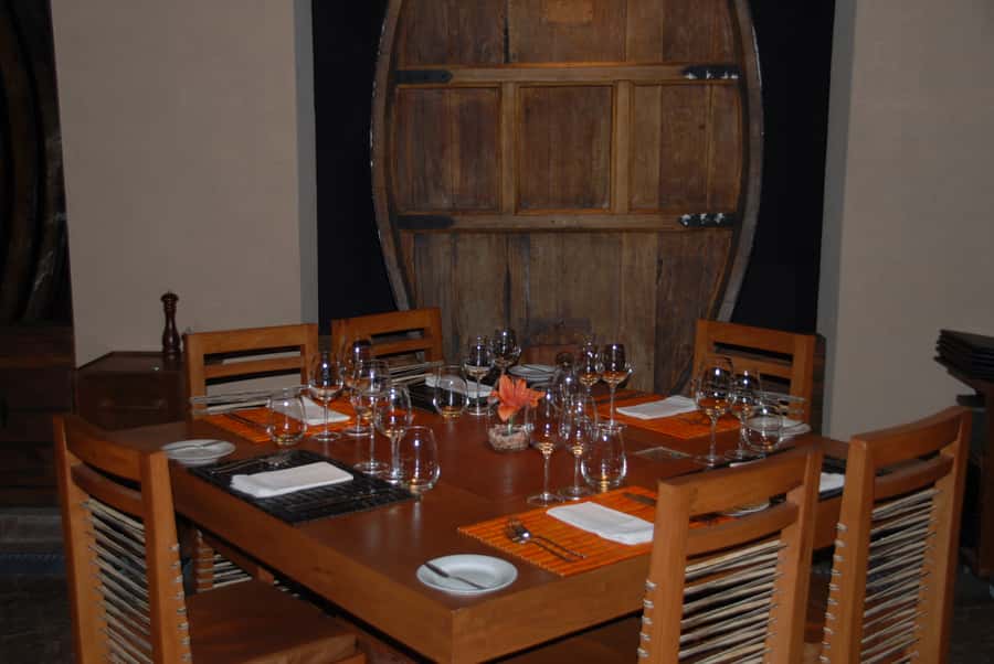 Mendoza: Full Day Wine Tour with 3 Course Lunch - Lunch at a bodega, 3 courses with pairing or a Salentein picnic